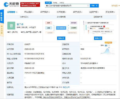 小米落子重慶，成立產融大數據公司，布局區塊鏈與數據處理服務